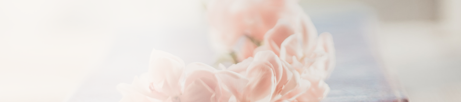 Mjukfokuserad bild av blekrosa blommor i närbild.